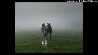 ‎ ‎ ‎ ‎