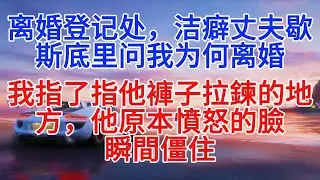 離婚登記處，潔癖丈夫歇斯底里地問我為何離婚，我指了指他褲子的拉鍊處，他原本氣憤的臉瞬間僵住#小說推文 #故事頻道 #情感故事