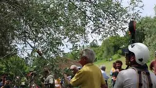 LA POTATURA DELL'OLIVO SENZA SE E SENZA MA
