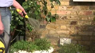 K&auml;rcher Watering Nozzle Plus | K&auml;rcher UK