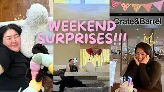 Weekend Vlog | best weekend surprise!!! + b-day dinner hosting, errands & shopping w/ bff ♡