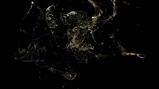 Intro Logo Animation Perfume collection