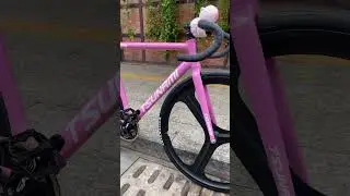 Tsunami Alloy