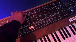 Late night with my kitty & Prophet-5. Periphery!