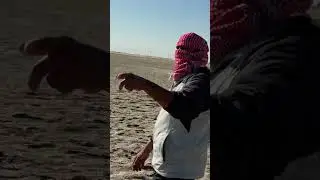 #gamechangerskiteclub #kiteflying #kiteground #outdooractivity #automobile #monokitefighter