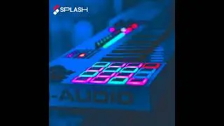 splash music -
