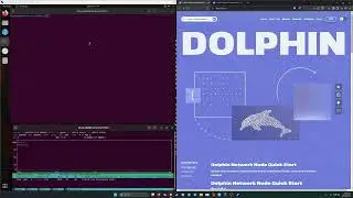 Dolphin Network - Linux node setup tutorial