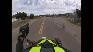 Boys Ride Bikes #3