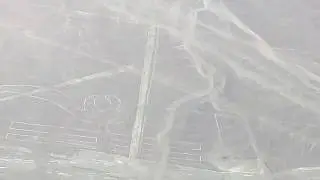 Nazca lines: parrot, alcatraz, reptile, tree, hands