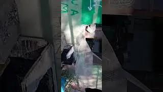 Urbex en una casa incendiada!!!