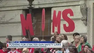 Moms Demand Action group holds advocacy day to end gun violence