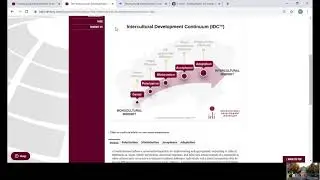 Intercultural Development Inventory (IDI)