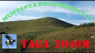 TAGA des de RIBES de FRESER 4k
