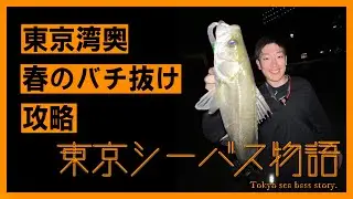 【シーバス釣り】東京湾奥春のバチ抜け攻略