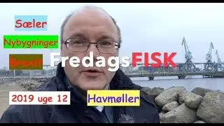 Om fiskeripakken, sæler, Brexit og nybygninger FredagsFISK uge 12 2019