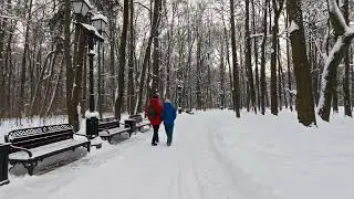 Никогда ни о чем не жалейте... Андрей Дементьев. 