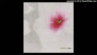 bambinodj - Carrier
