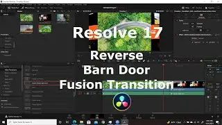 Resolve 17 | Reverse Barn Door Fusion Transition
