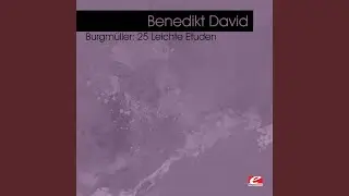 Leichte Etuden Op. 100: No. 16 Douce Plainte