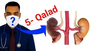 Jooji 😭 5- taan qalad ee kiliyaha dhaawaca inta ee ku fariiisan kiliyaha 😭