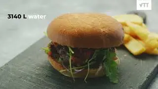 VTT iBEX: Team ELAIS &ndash; Sustainable alternatives to meat production