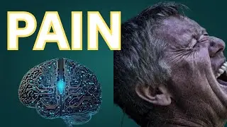 Your Brain Is Wired to Remember Pain &mdash; not happiness Here&rsquo;s Why