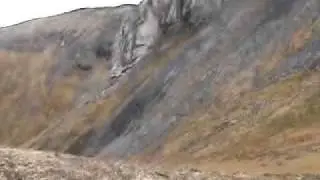 Hunters Dream! Deltana Outfitter Dall Sheep, Alaska Ram Hunts!