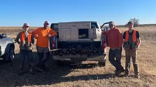 Late-Season Roosters & Solid Dog Work | Western Kansas Pheasant Hunt