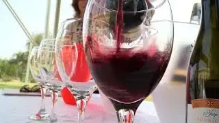 Tunisia looks to branch out into wine tourism