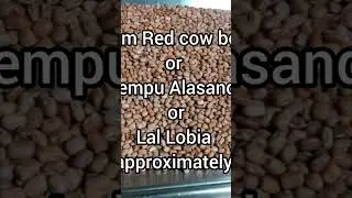 Red cow beans gravy or Kempu Alasande kalin saru or Lal lobia ka salan