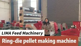 Ring-die pellet making machine for chicken feed#machine #chicken  #chickenfeed