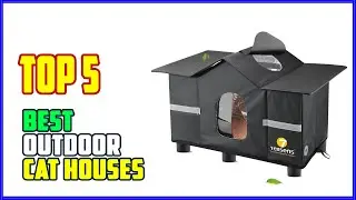 TOP 5 Best Outdoor Cat Houses 2026
