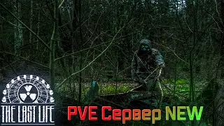 ☢