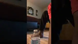 My bottle flip 2024