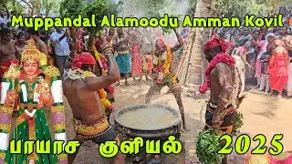 Muppandal Alamoodu Amman Kovil Aadi kodai Vizha 2025 | Muppandal Alamoodu Amman Payasa Kuzhiyal 2025