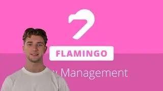 FLAMINGO PRICE PREDICTION 2021