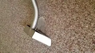 SERVPRO of Midland/Gladwin Counties offers carpet cleaning
