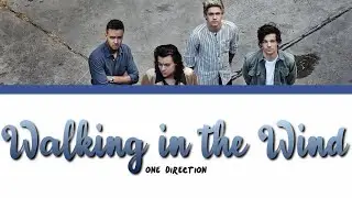 ONE DIRECTION - WALKING IN THE WIND lyrics (Color Coded)