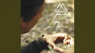 Lipy