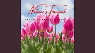 Elemental Tranquility Flow