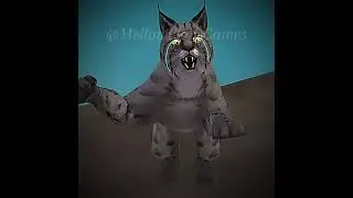 Alone&hellip; At the edge of a universe&hellip; || #wildcraft #lynx #bobcat #cat #story #oc #lore #oclore #shorts