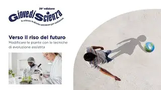 Verso il riso del futuro - Modificare le piante con le tecniche di evoluzione assistita