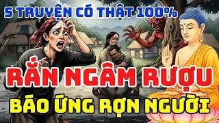 NHÂN QUẢ 🔴🔴 KINH HOÀNG NGHE KỂ VỀ ÔNG TRÙM RƯỢU RẮN, CÁI KẾT RÙNG MÌNH