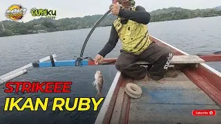 STRIKE IKAN RUBY DI PANTAI PESISIR