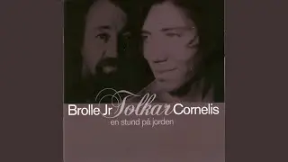 Ballad Om En Gammal Knarkare