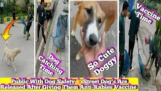 Dog Catching Time Bangalore । Arv dog catch। Dog Sound #dog #vlog #rescue #video