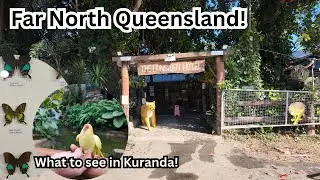 Let&rsquo;s explore Far North Queensland | Kuranda | Lions den hotel
