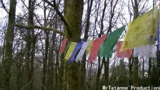 Documentaire Dhagpo Kagyu Ling