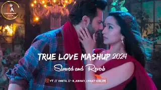 True Love Mashup 2024 | Lo-Fi | R Abhay Creation 1M