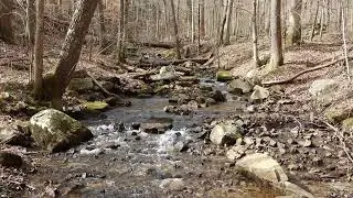 Creek from my hike on 20260214